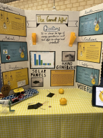 Year 6 Science Fair